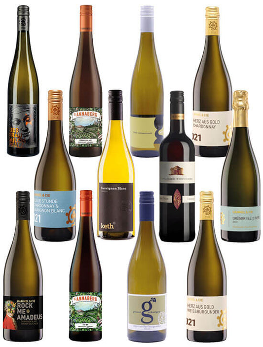 12er Weinpaket | Prämierte VINUM Weine