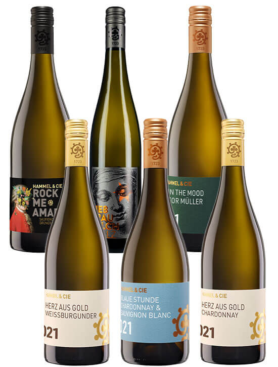 6er Probierpaket | HAMMEL & CIE