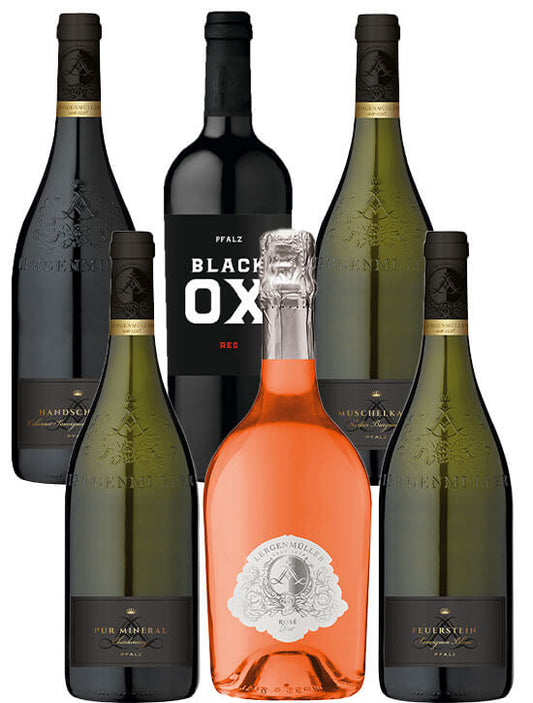6er Probierpaket | Weingut Lergenmüller